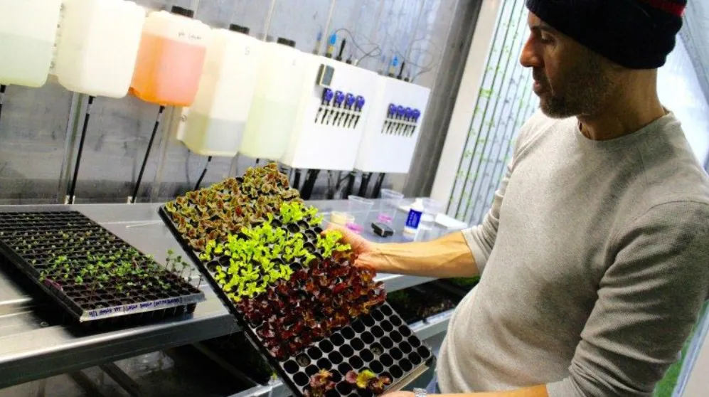 حاويات الزراعة العمودية الخالية من التربة (10)